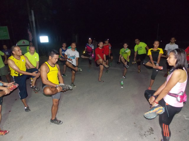 Flamingo Impressions