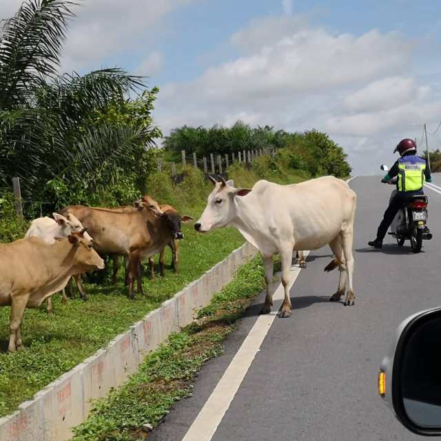 IMG_20180909_123531_730