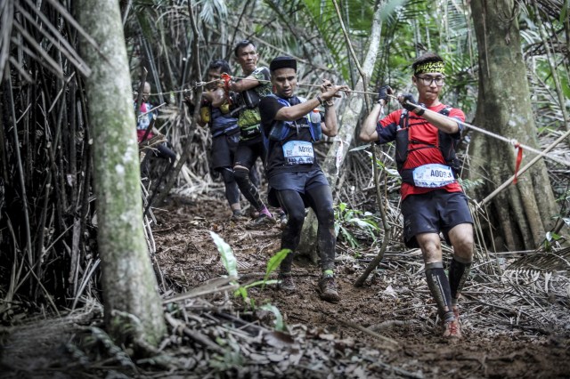 3) MMTF 2018 - Runners making their way in the forest trail (1)